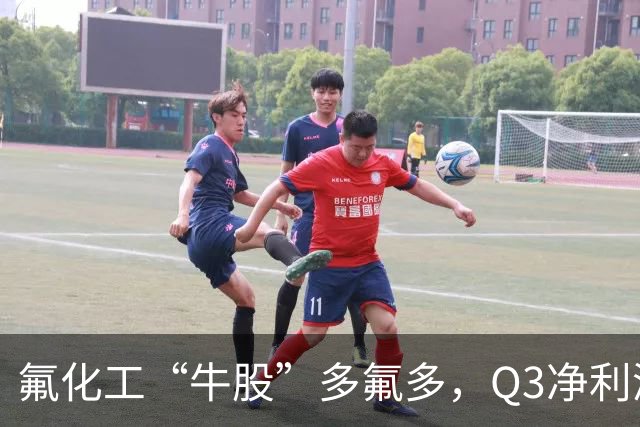氟化工“牛股”多氟多，Q3净利润环比下降41%，股价较年内高点回撤56%